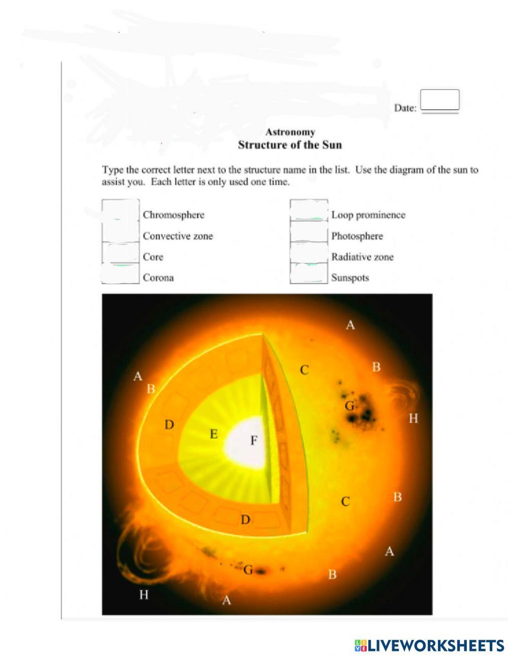 Structure of the Sun worksheet Live Worksheets