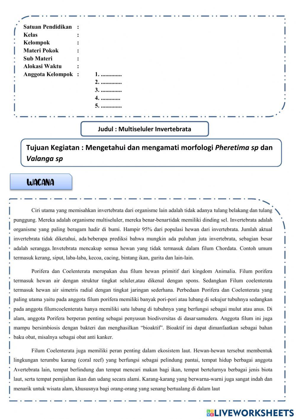 Praktikum cacing dan belalang