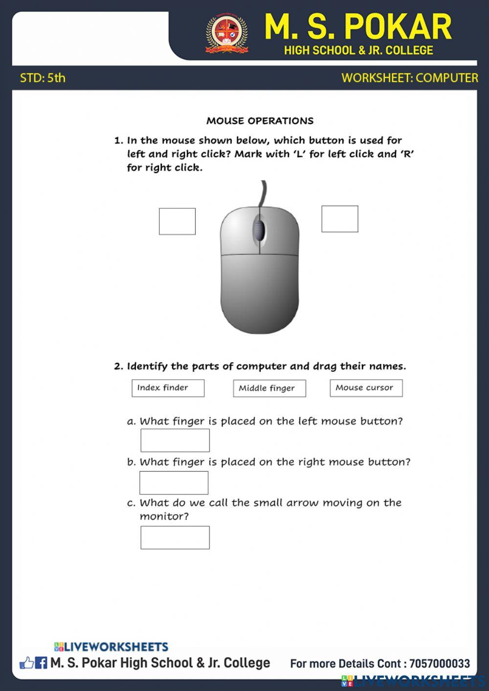 Input and Output devices of computer