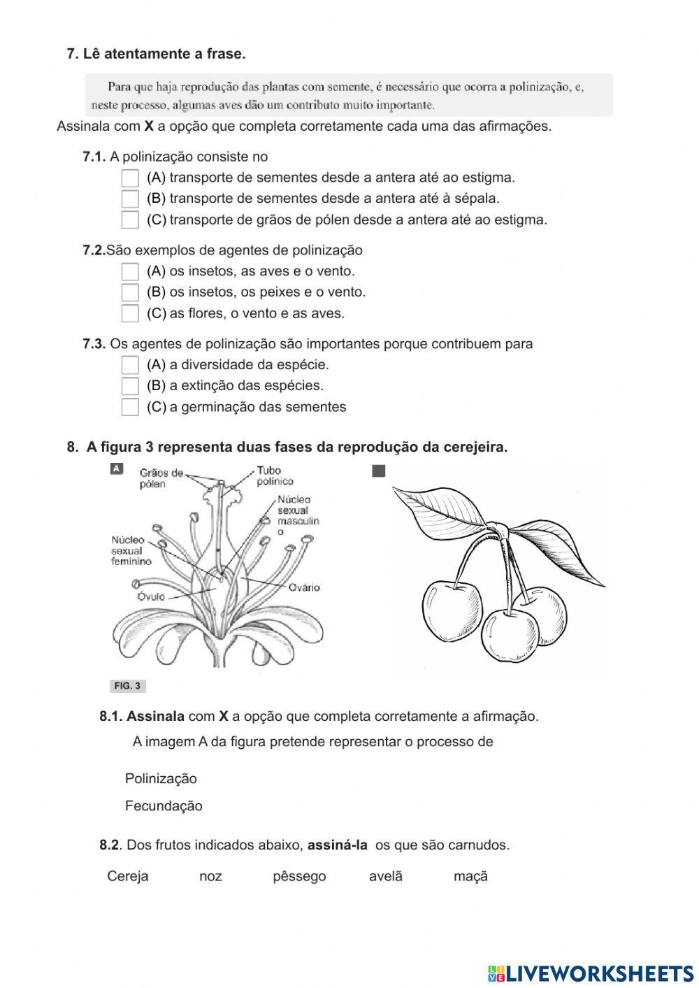 Teste sobre reprodução do ser humano e das plantas