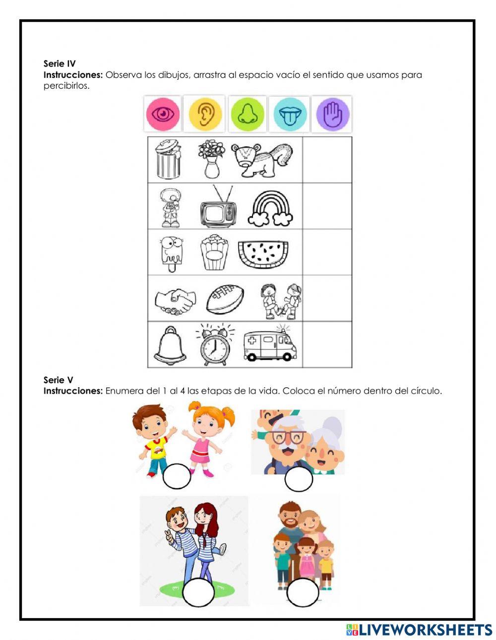 Evaluación de Bimestre 3