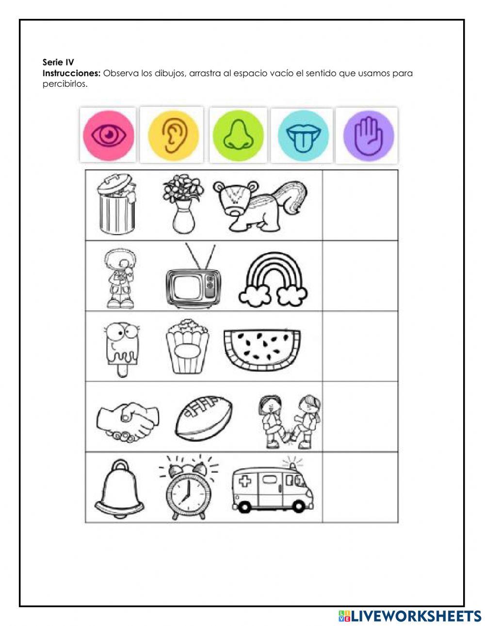 Evaluación de tercer bimestre