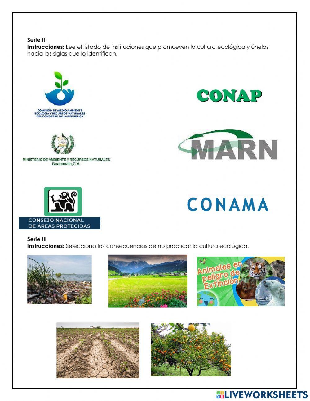Evaluación de Productividad -Bimestre 3