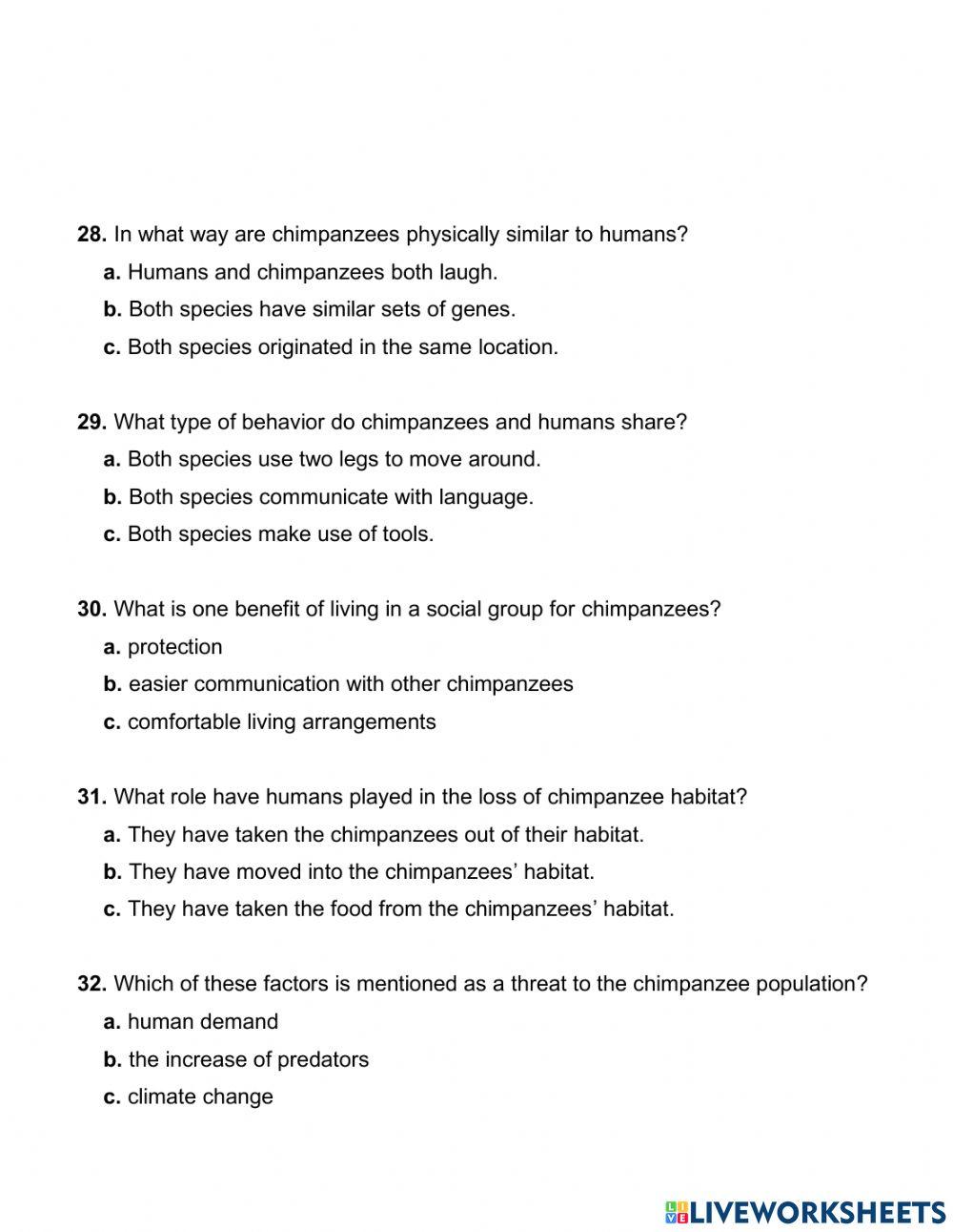 Summit 1 - Unit 6 - Assessment