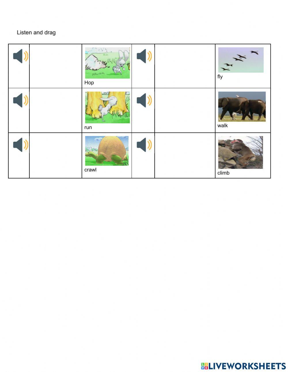 Hop like a rabbit worksheet | Live Worksheets