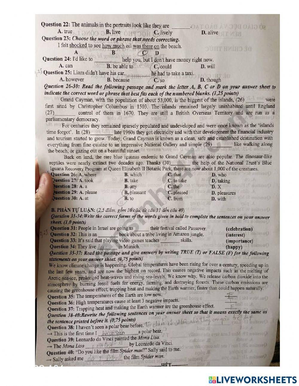 Đề thi vào lớp 10 tỉnh Bến Tre môn Anh năm 2022