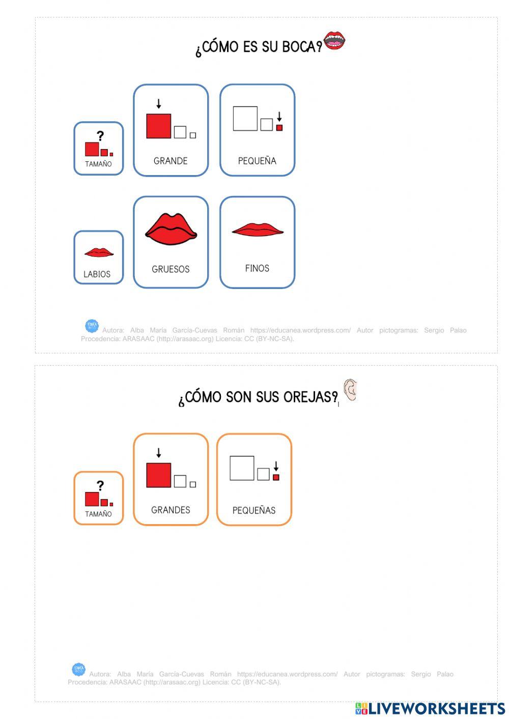 Describimos a yasmín