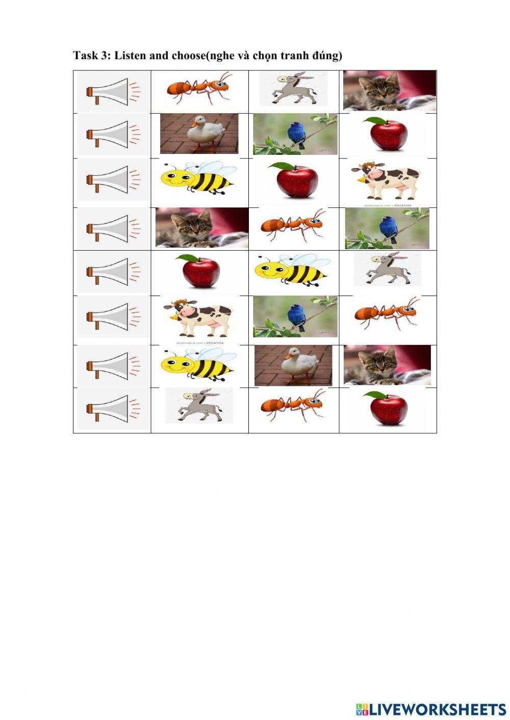 letter A,B,C,D-Lớp 2-3 online exercise for | Live Worksheets