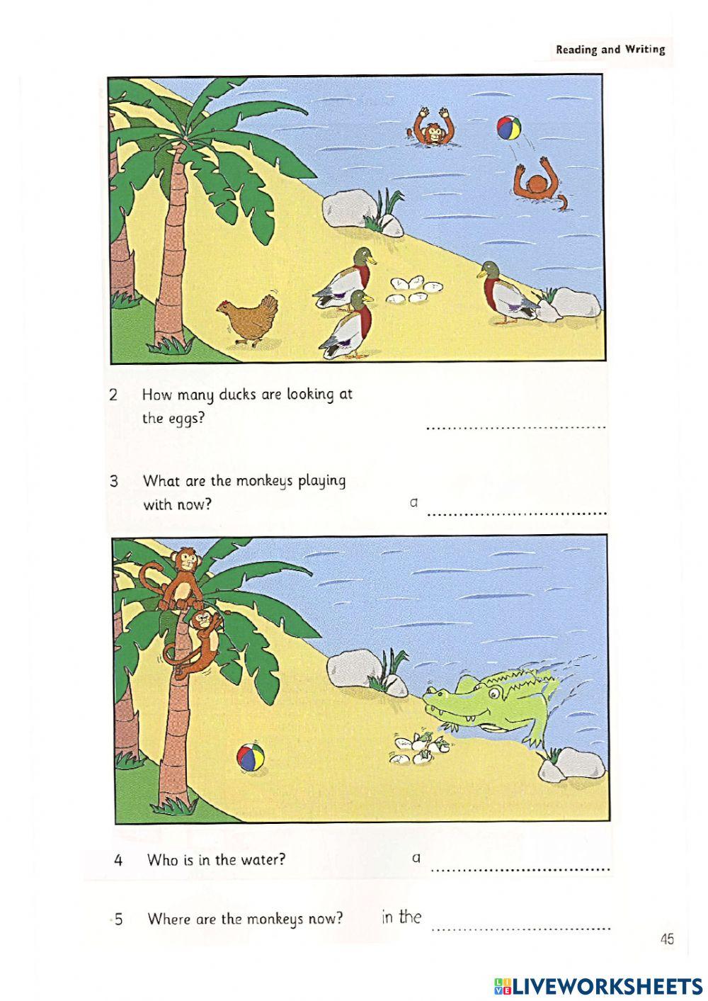 Starters - Test 3 - Book 5 - Reading + Writing