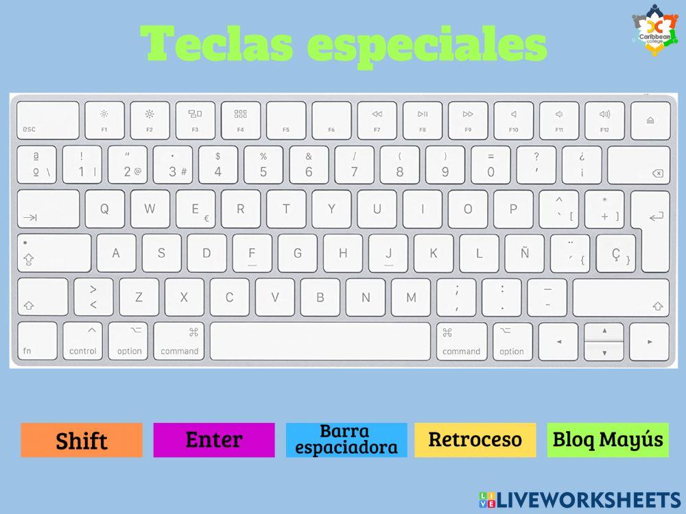 Partes de la computadora Partes de la computadora