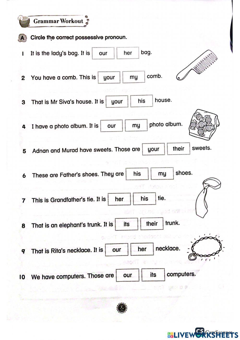 Possessive pronouns