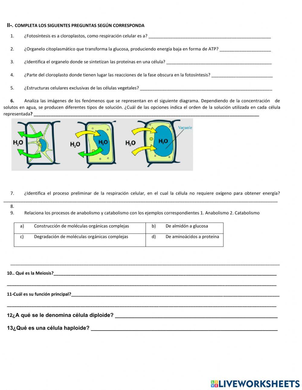 Biologia celular y sus funciones