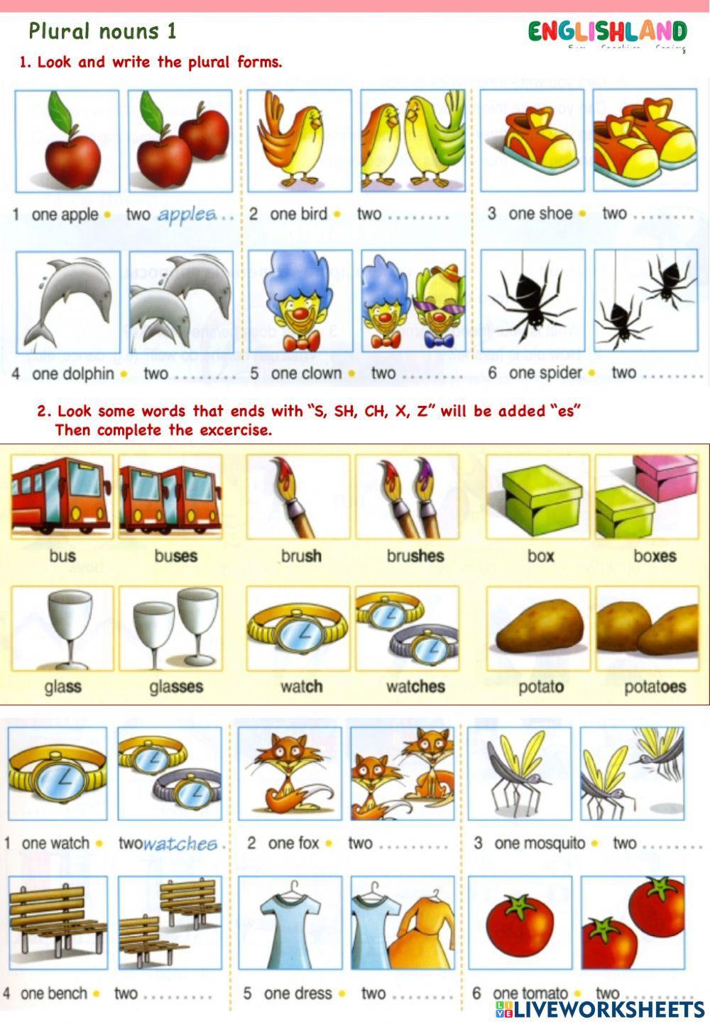Plurals and Past Simple