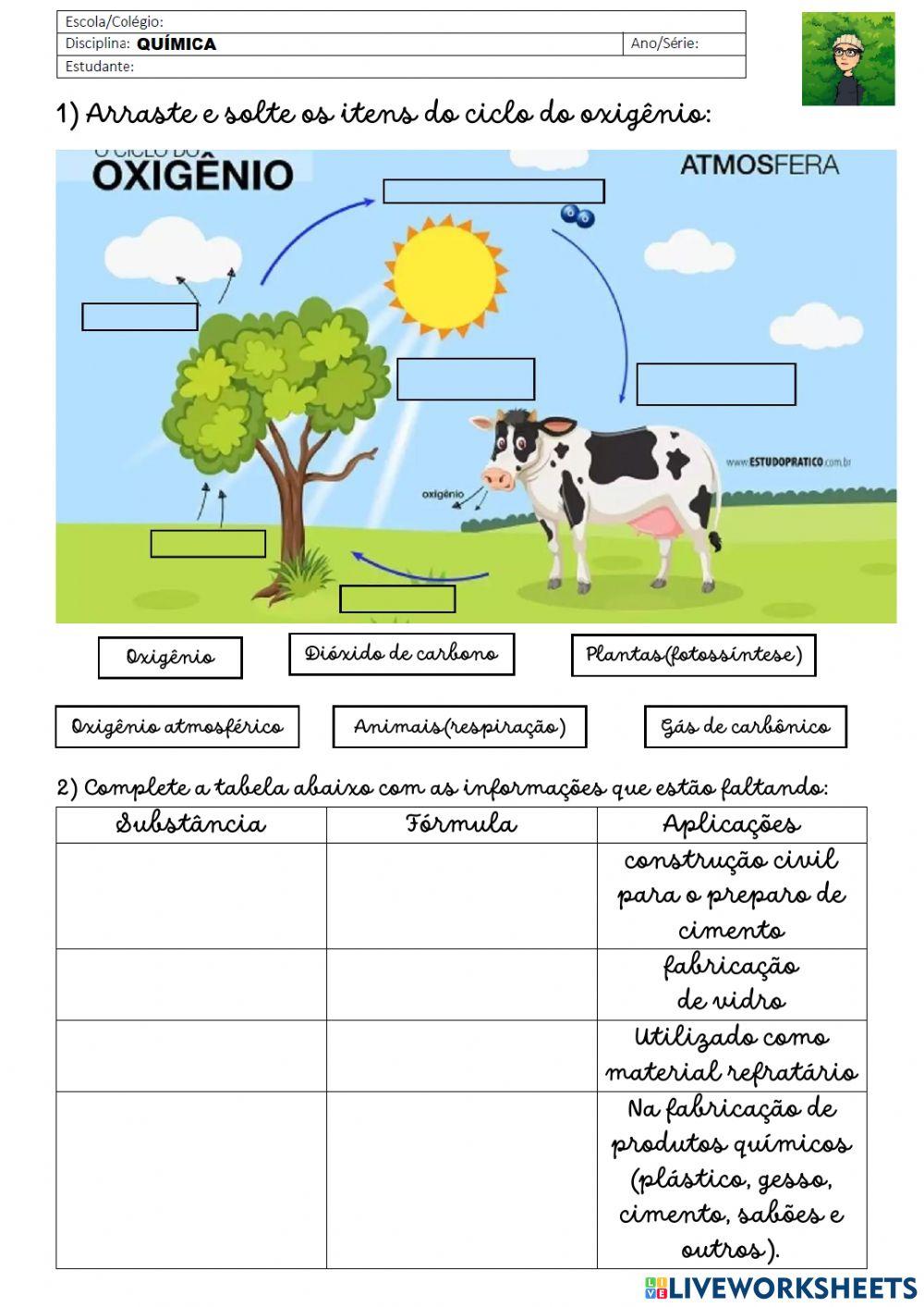 Óxidos básicos e suas aplicações.