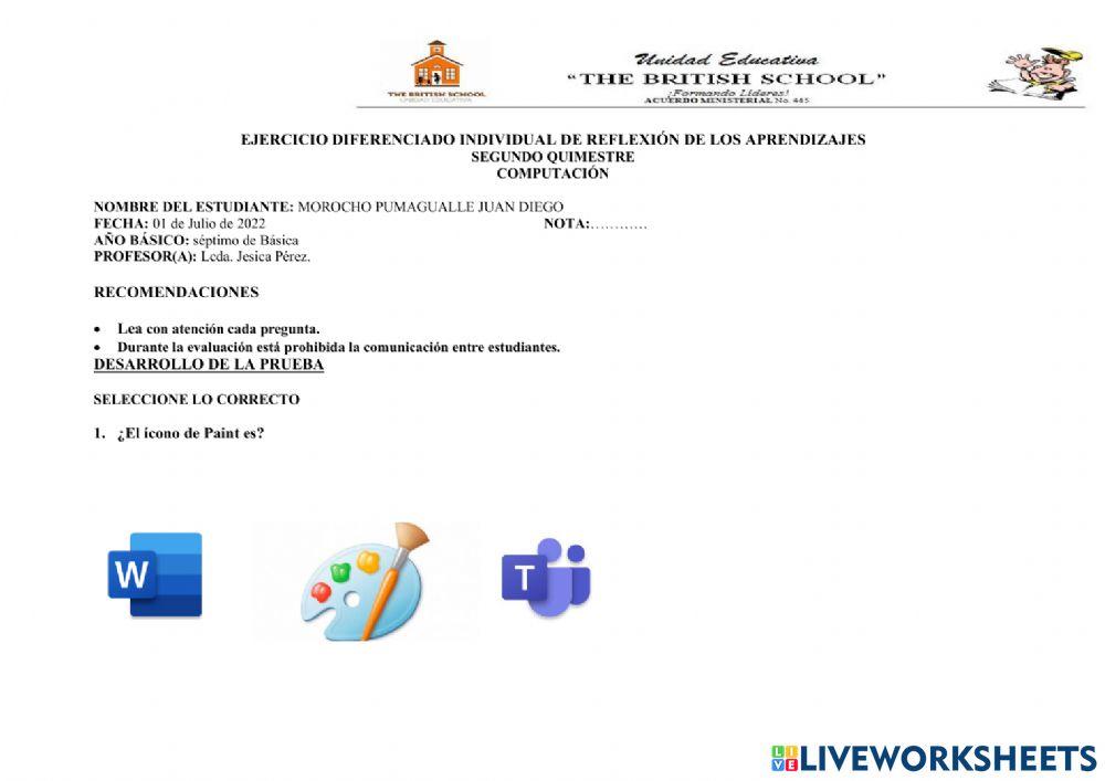 Ejercicio diferenciado individual de reflexión de los aprendizajes  segundo quimestre