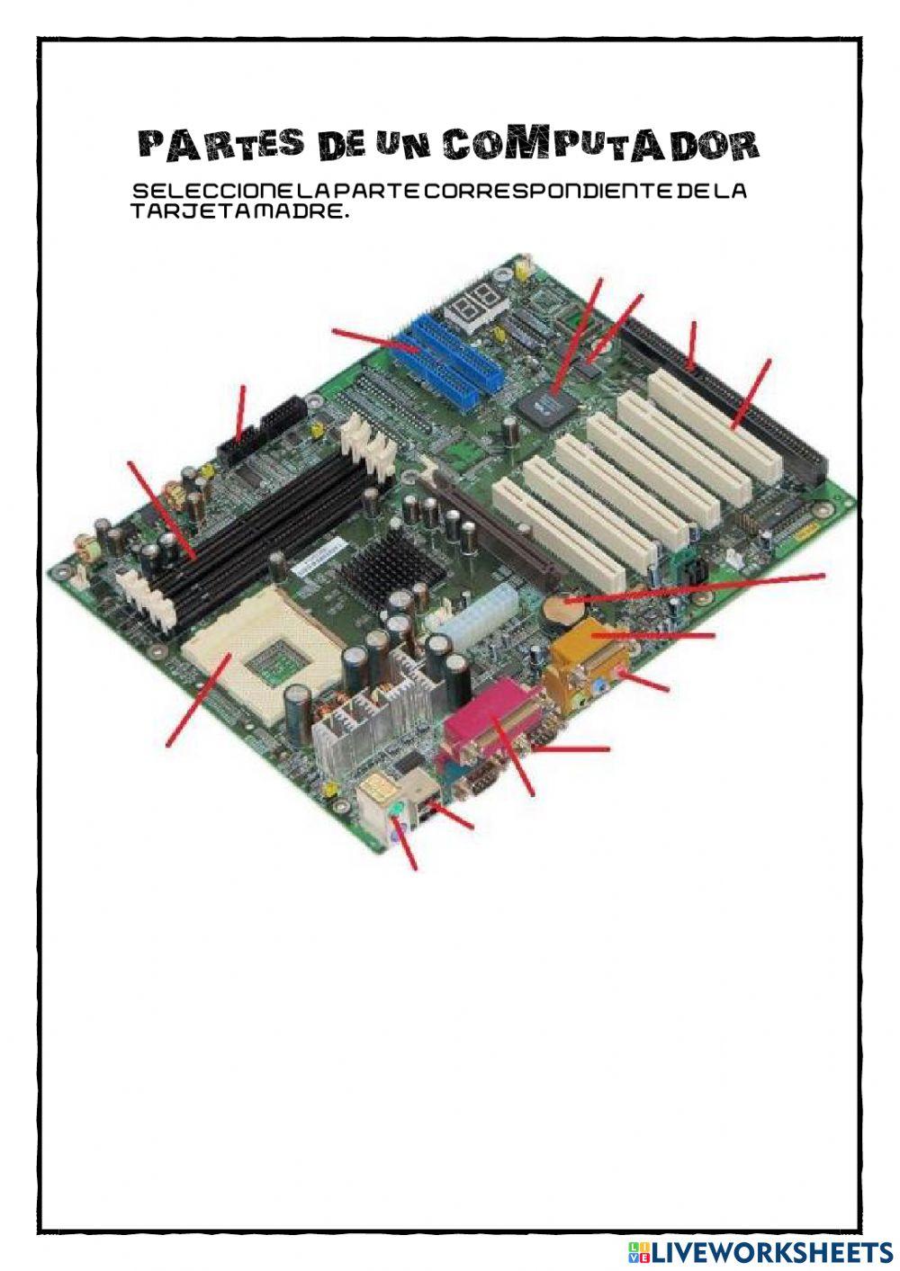 Partes del computador