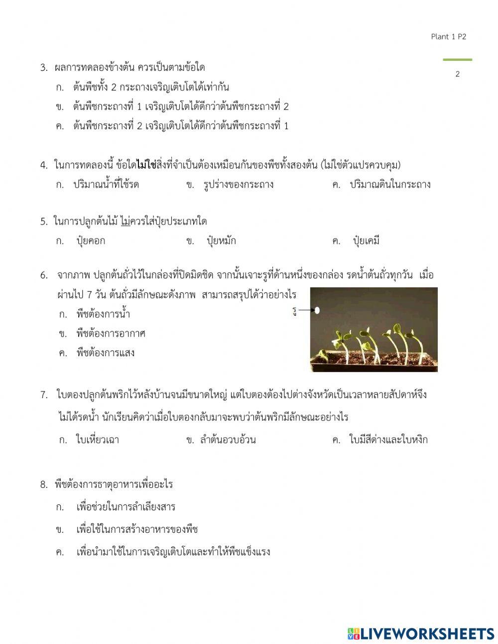 ปัจจัยในการดำรงชีวิตของพืช