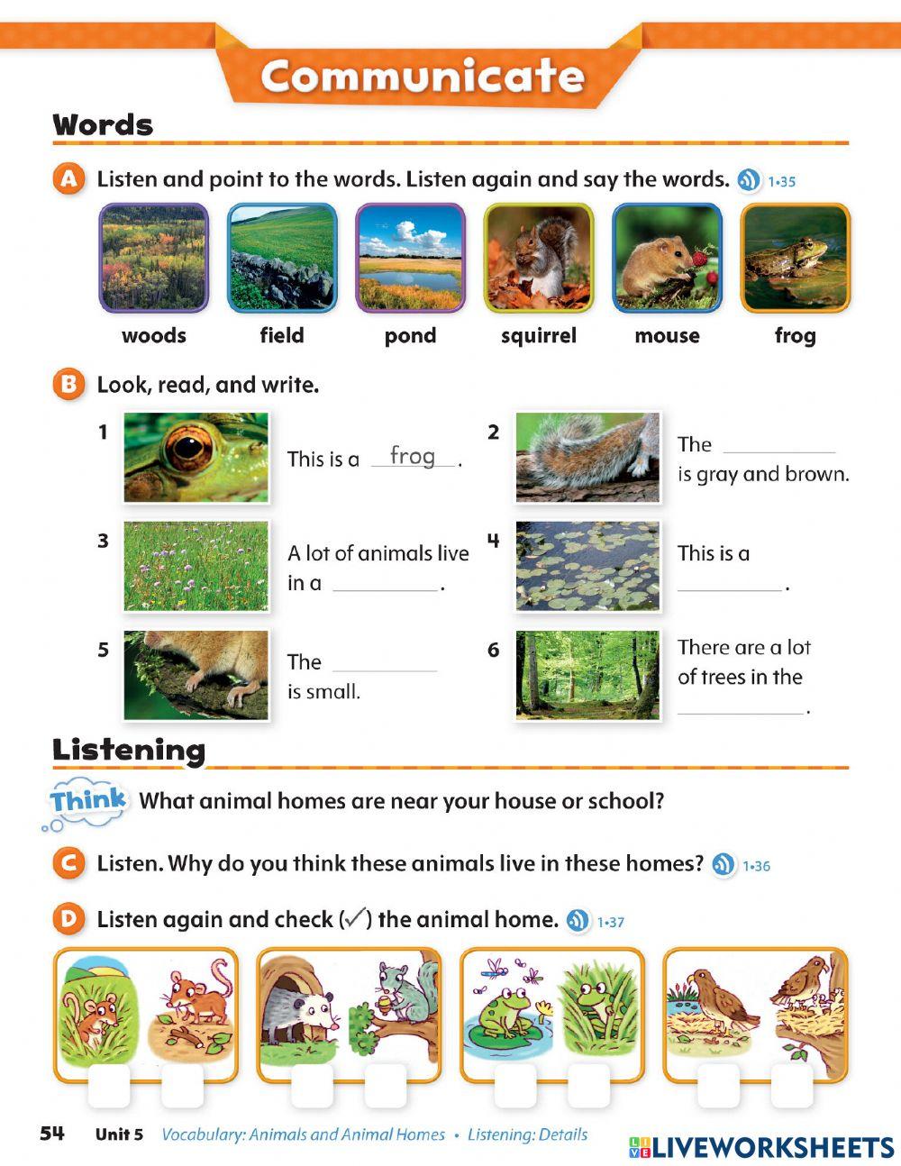 Unit 5 - Communication