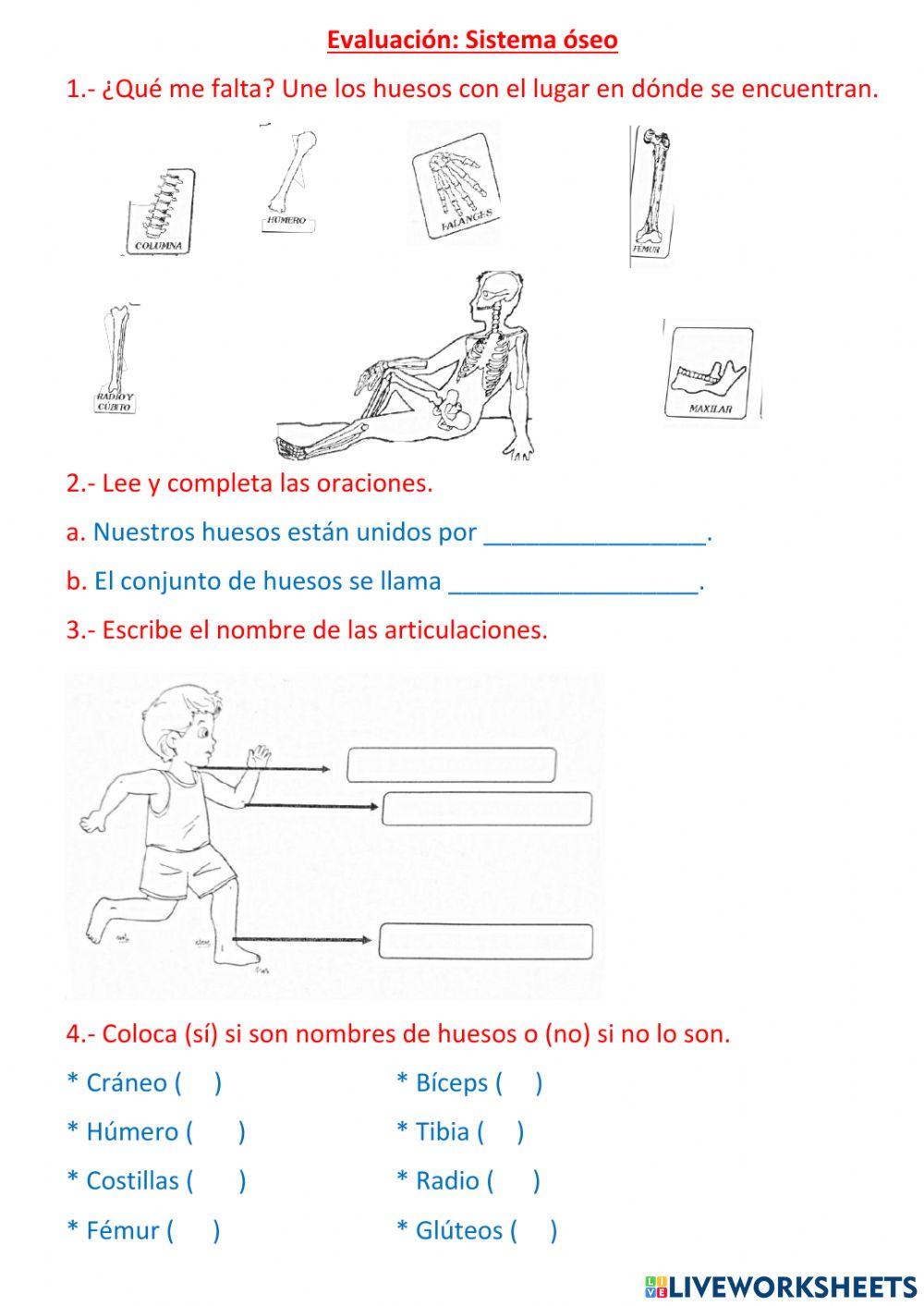 Evaluación sistema óseo