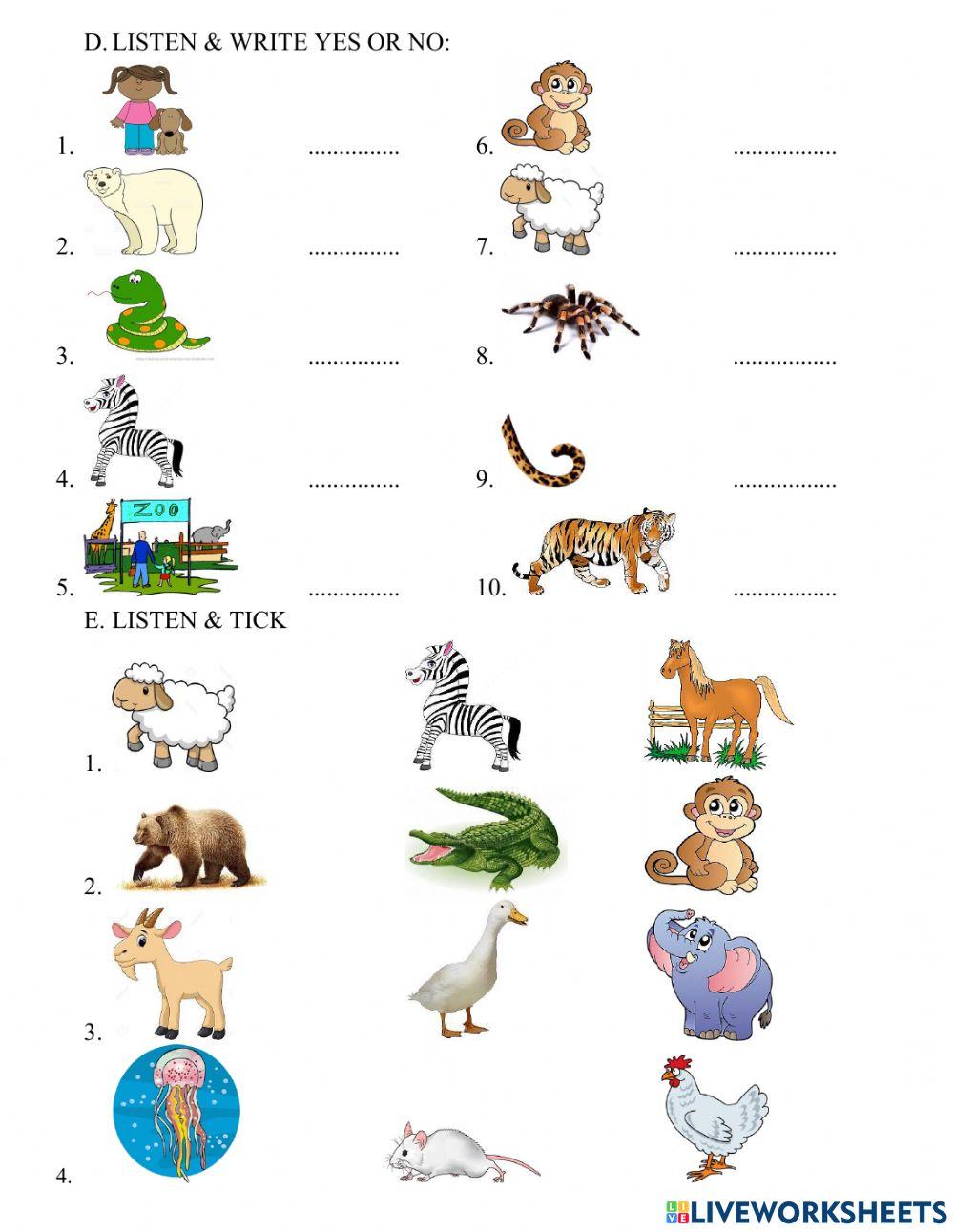 Starters animals 2 worksheet Live Worksheets