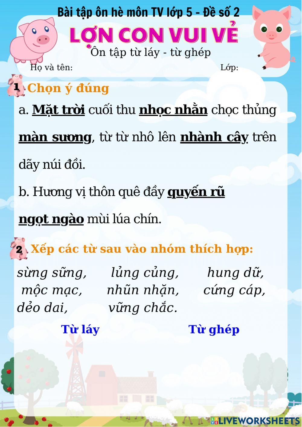 Bài tập ôn hè lớp 5 môn tiếng việt - đề số 2