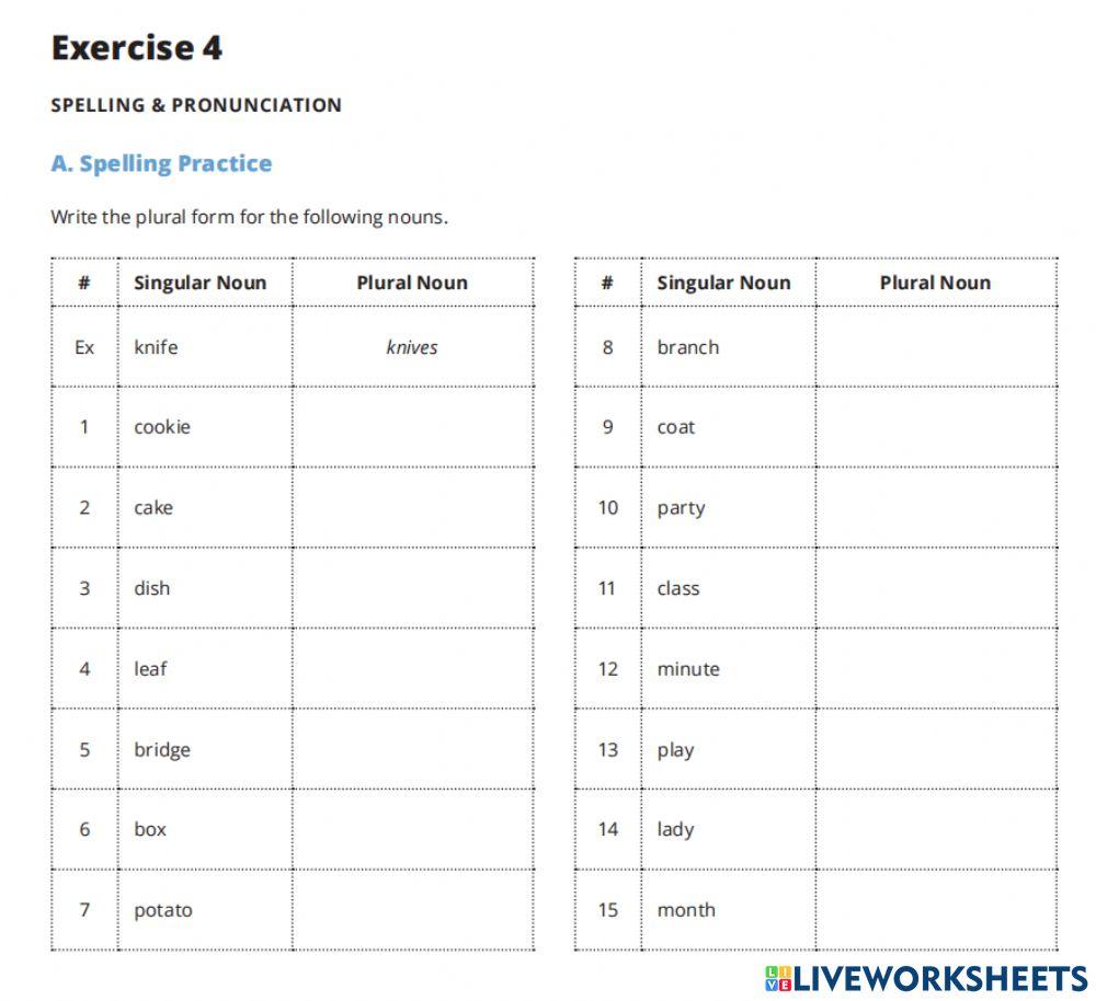 03-Singular-and-Plural-Nouns-US-4