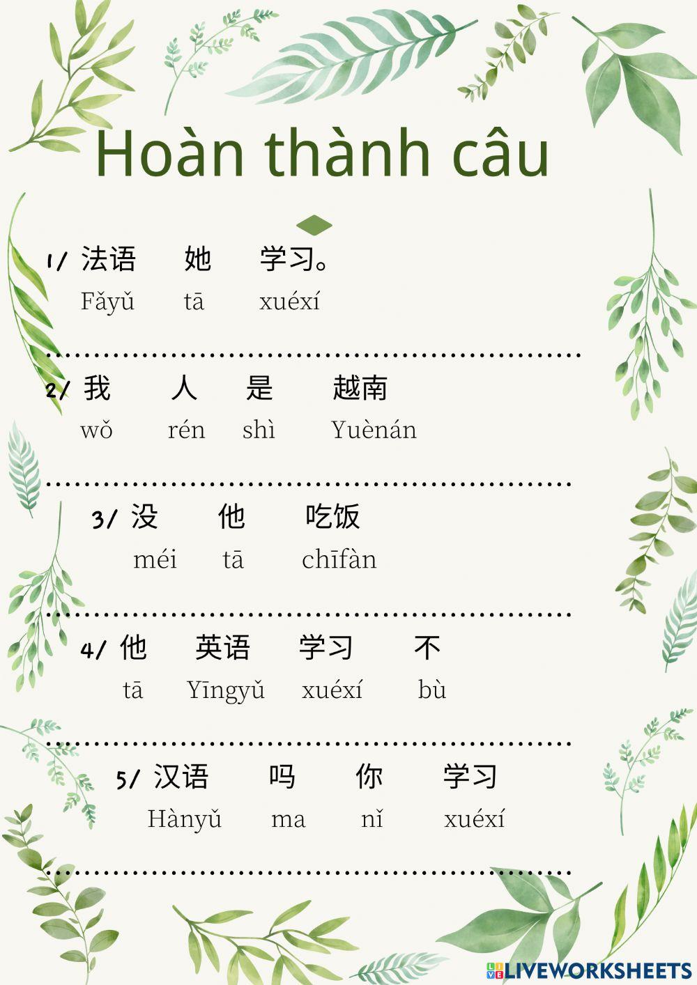 Bài tập câu vị ngữ động từ