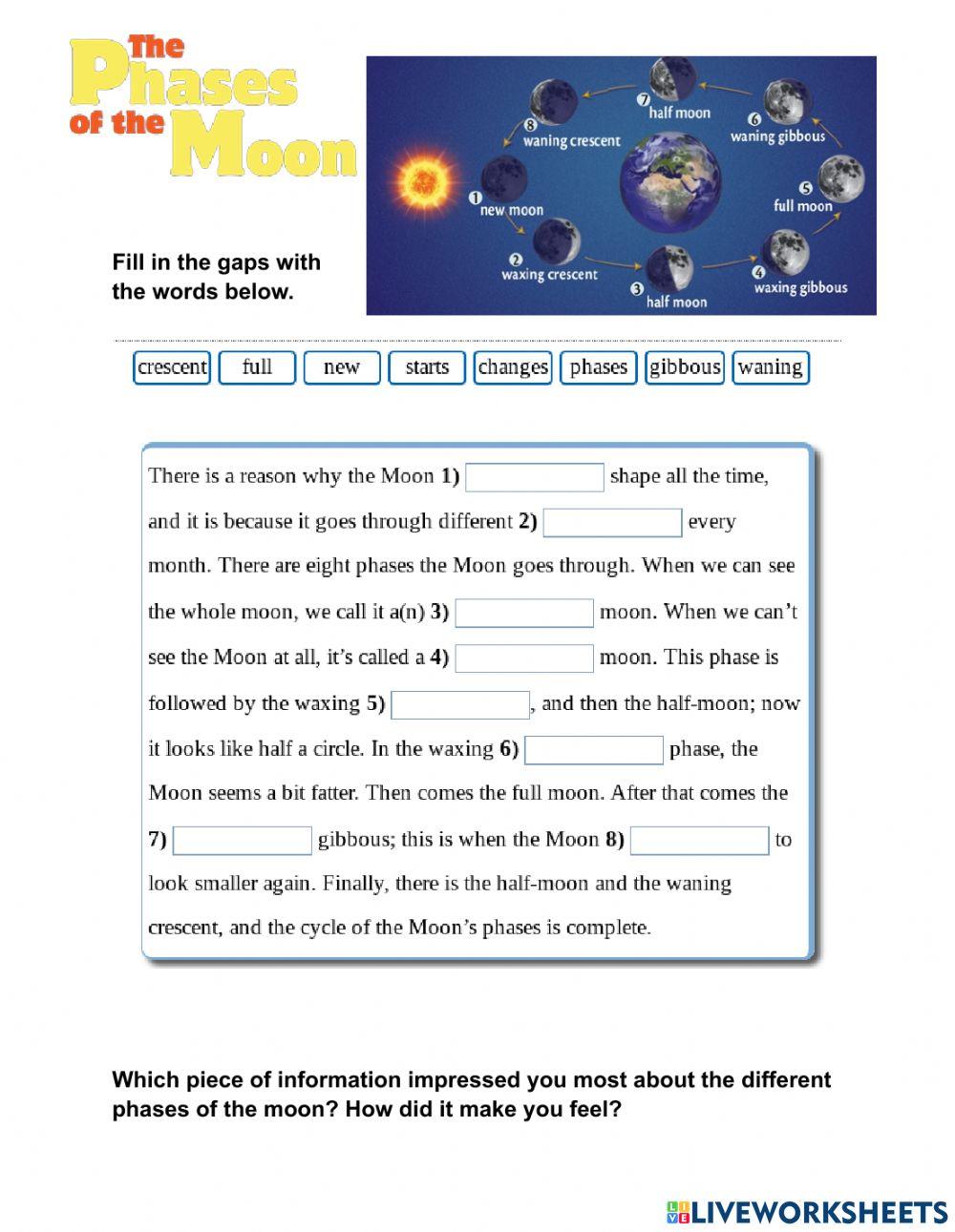The phases of the Moon