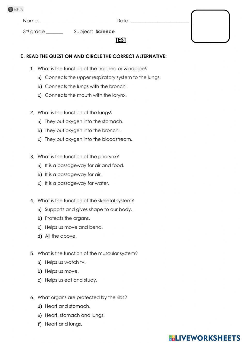 Test - Human Body Systems