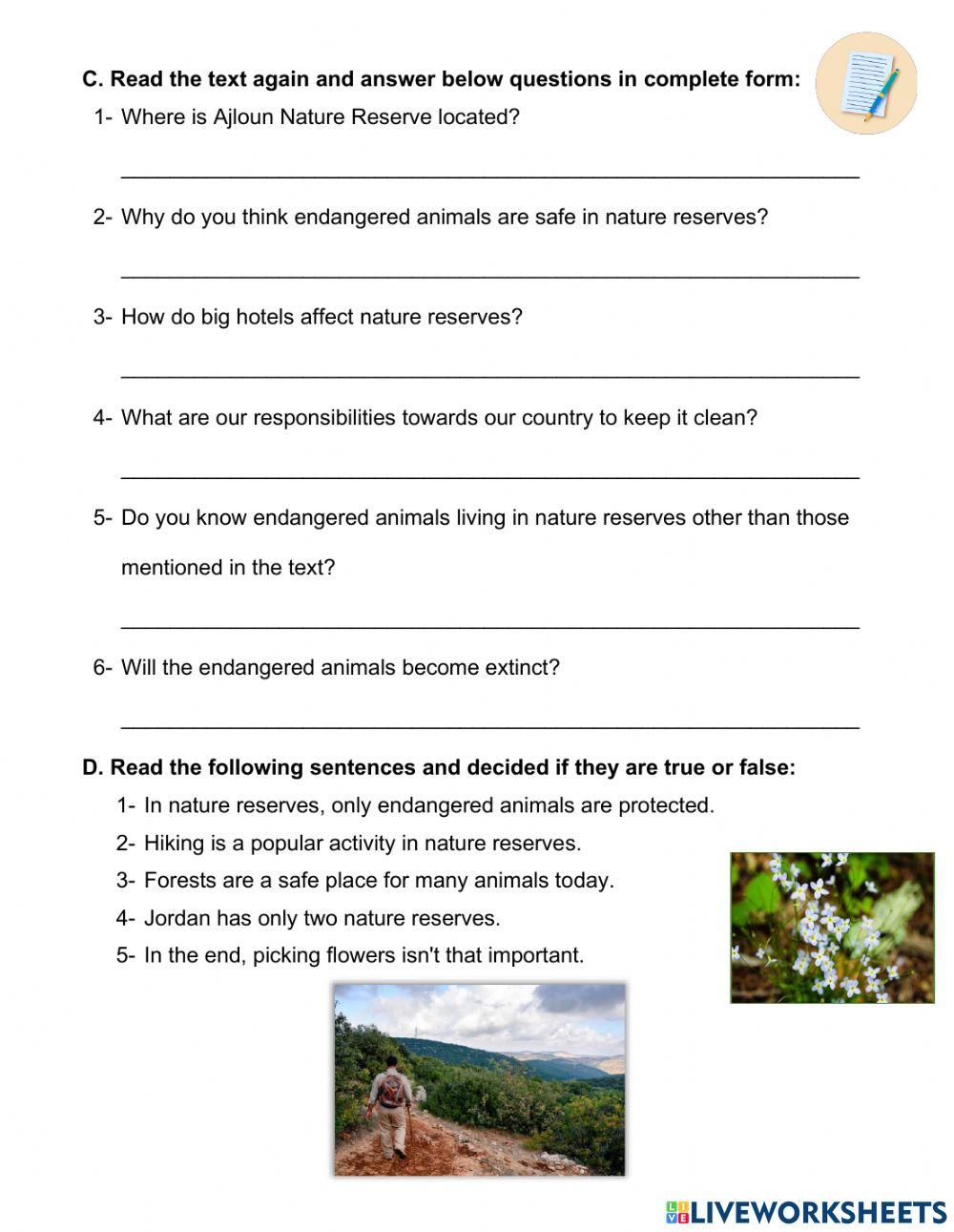 Reading Comprehension And Skills Practice