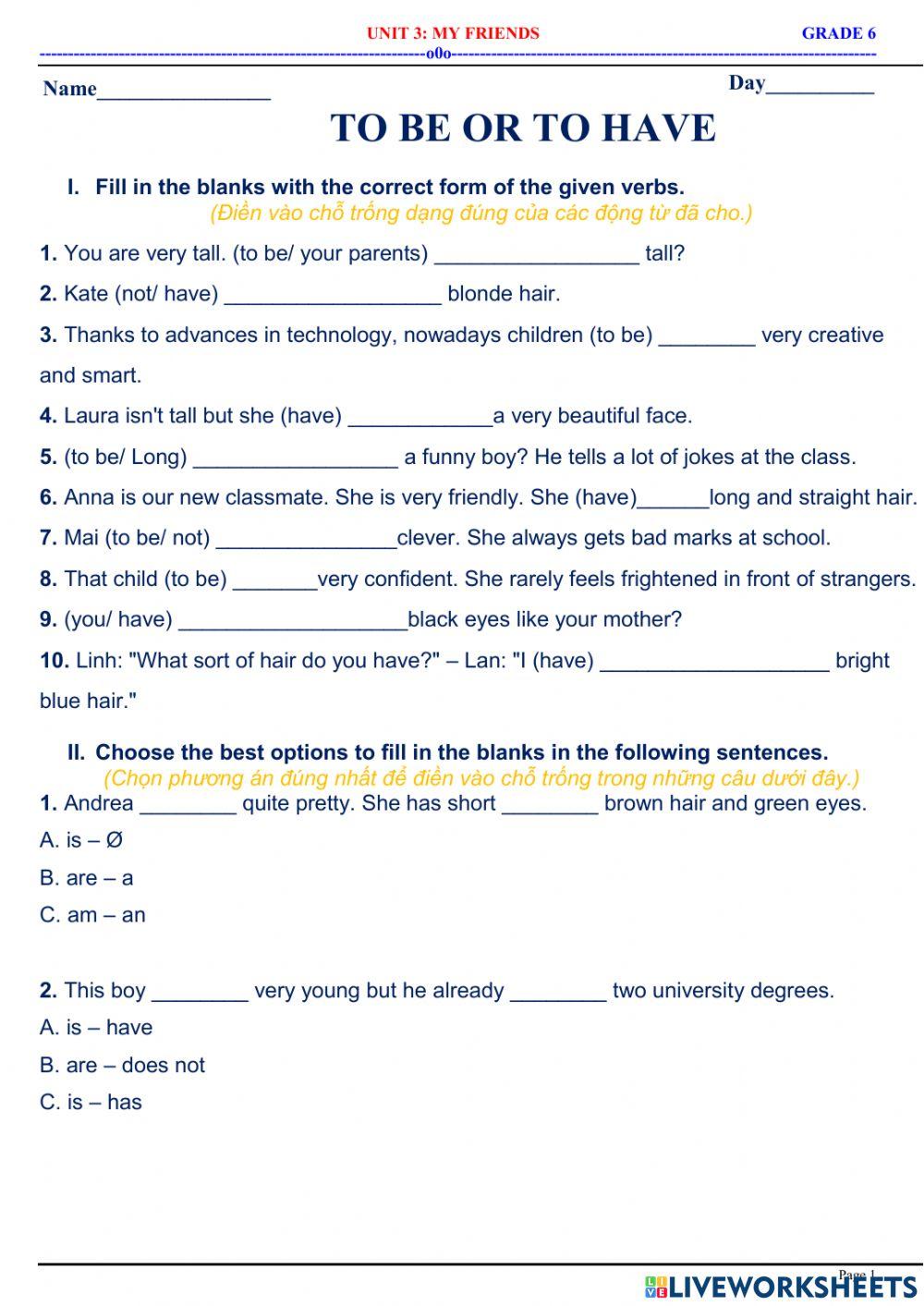 English 6 - Unit 3 - tobe or to have for description