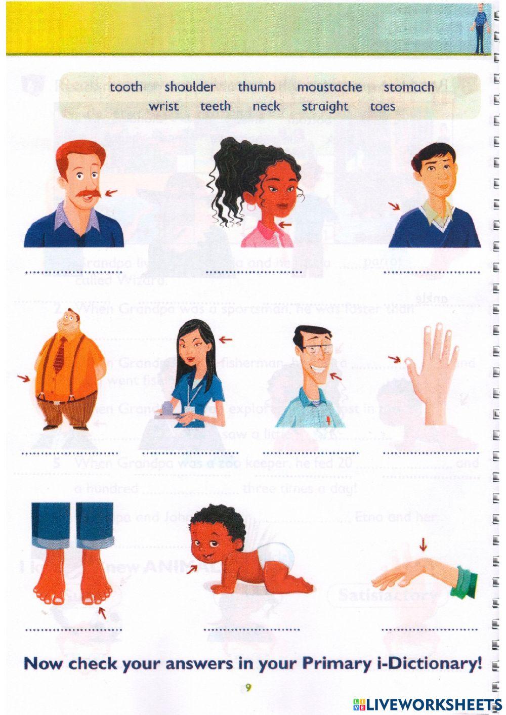 Idict 2-Unit 2-Lesson 11-Worksheet