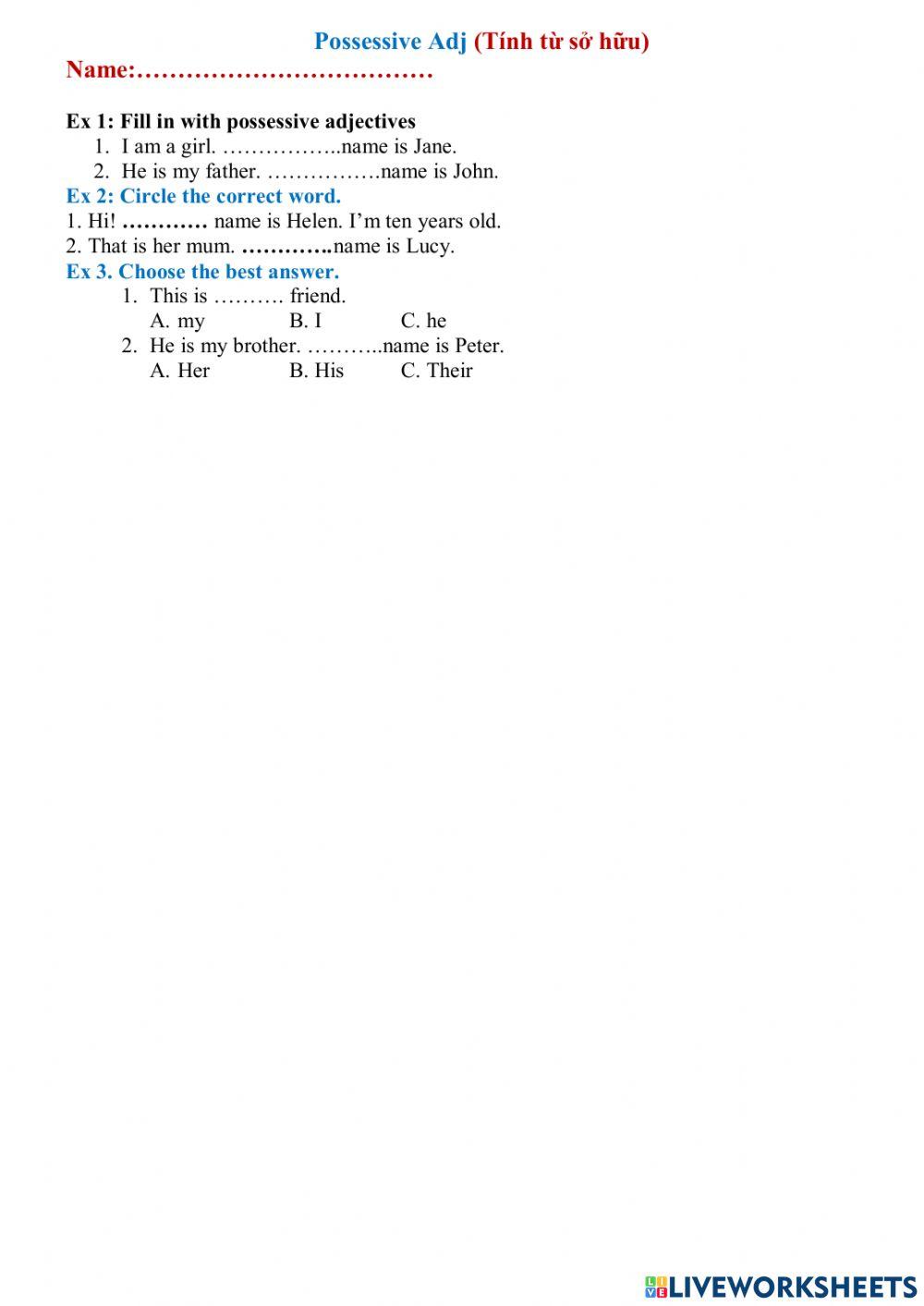 Possessive adjectives