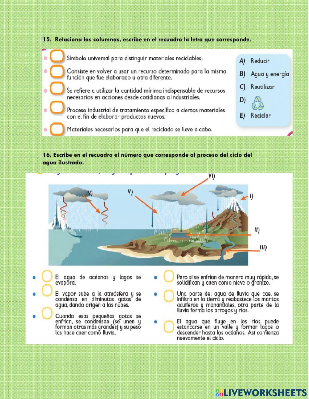 Evaluación Ciencias Naturales