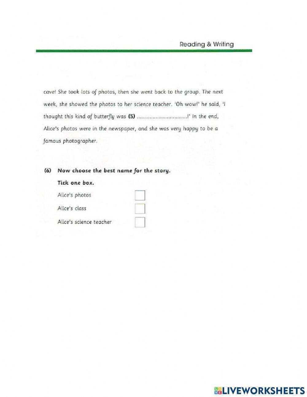 Flyers Skill Builder R&W part 1-5 Unit 4