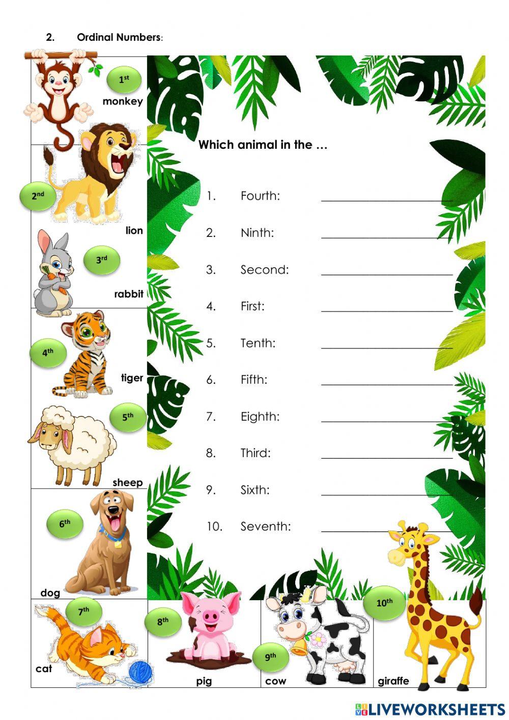 P3 English World Final Examination