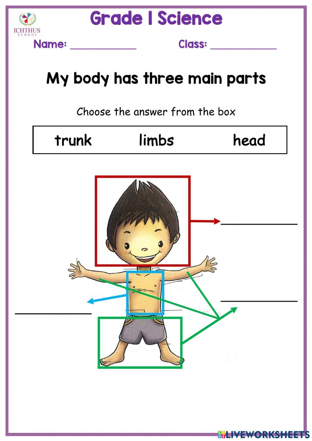 Body part Body part