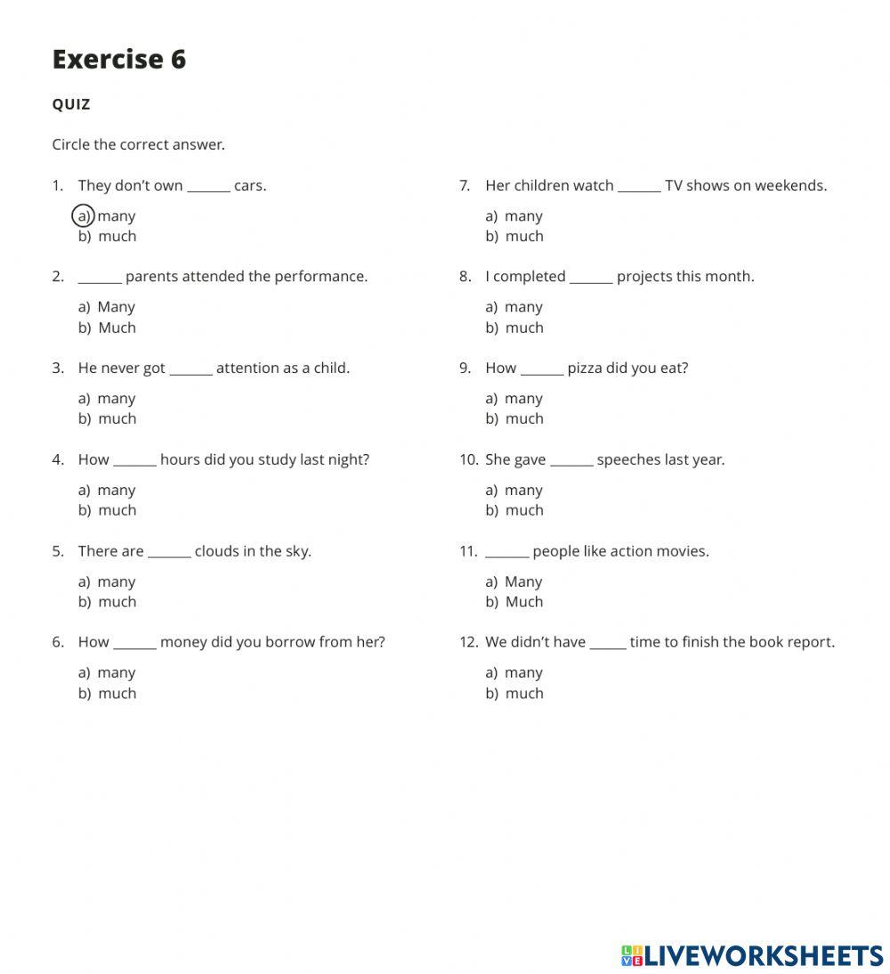 21-Quantifiers-Many-and-Much-US-3