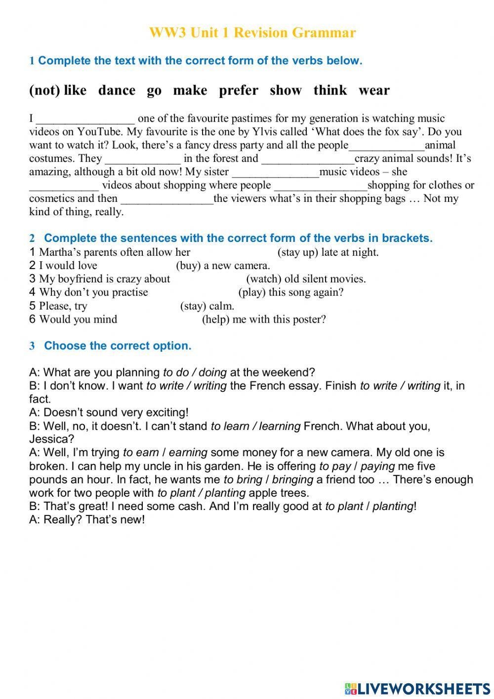 WW3 Unit 1 Revision Grammar