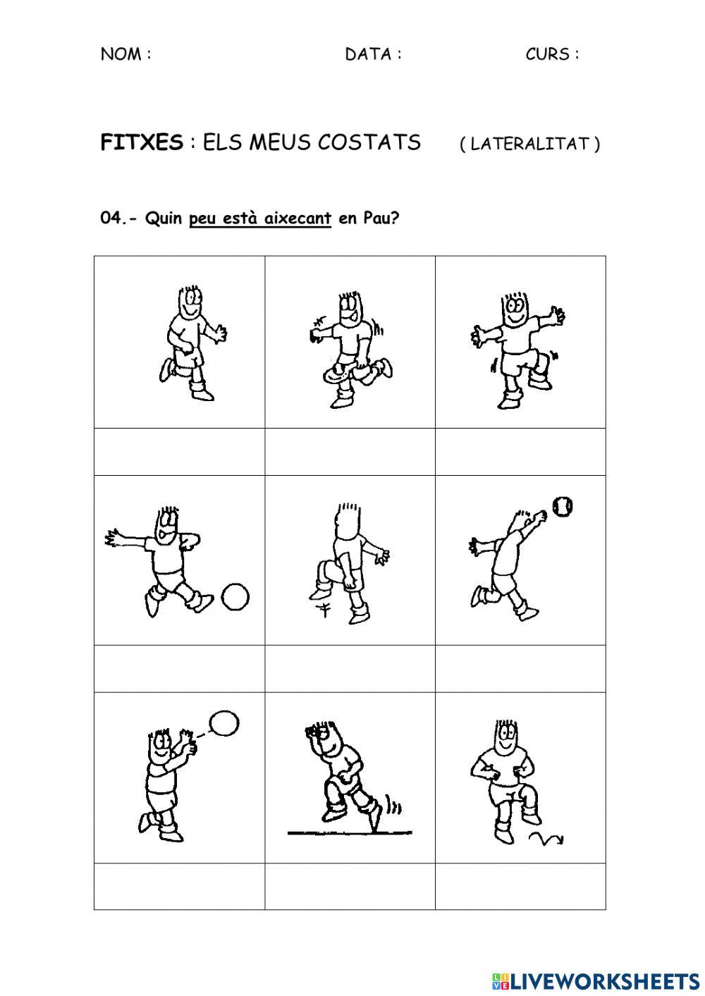 LAT - Lateralitat 04