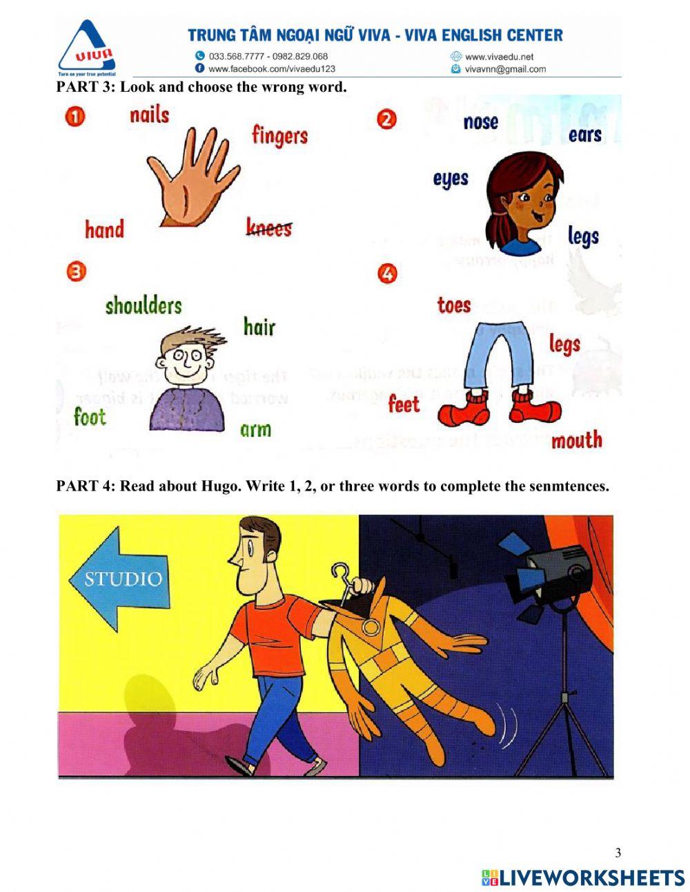 Idict 2-Unit 2-Lesson 13