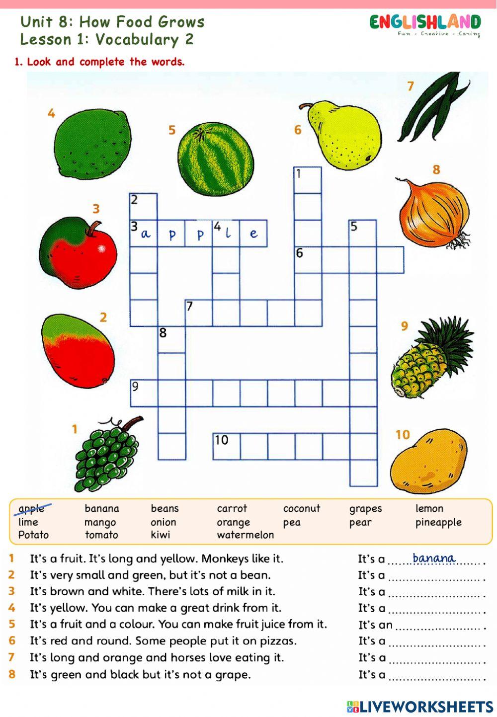 U8 Lesson 1 Vocabulary 2