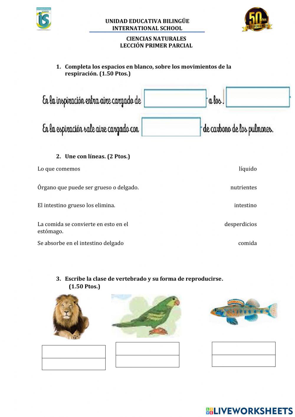 Lección primer parcial