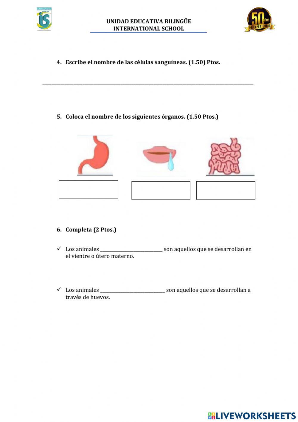 Lección primer parcial
