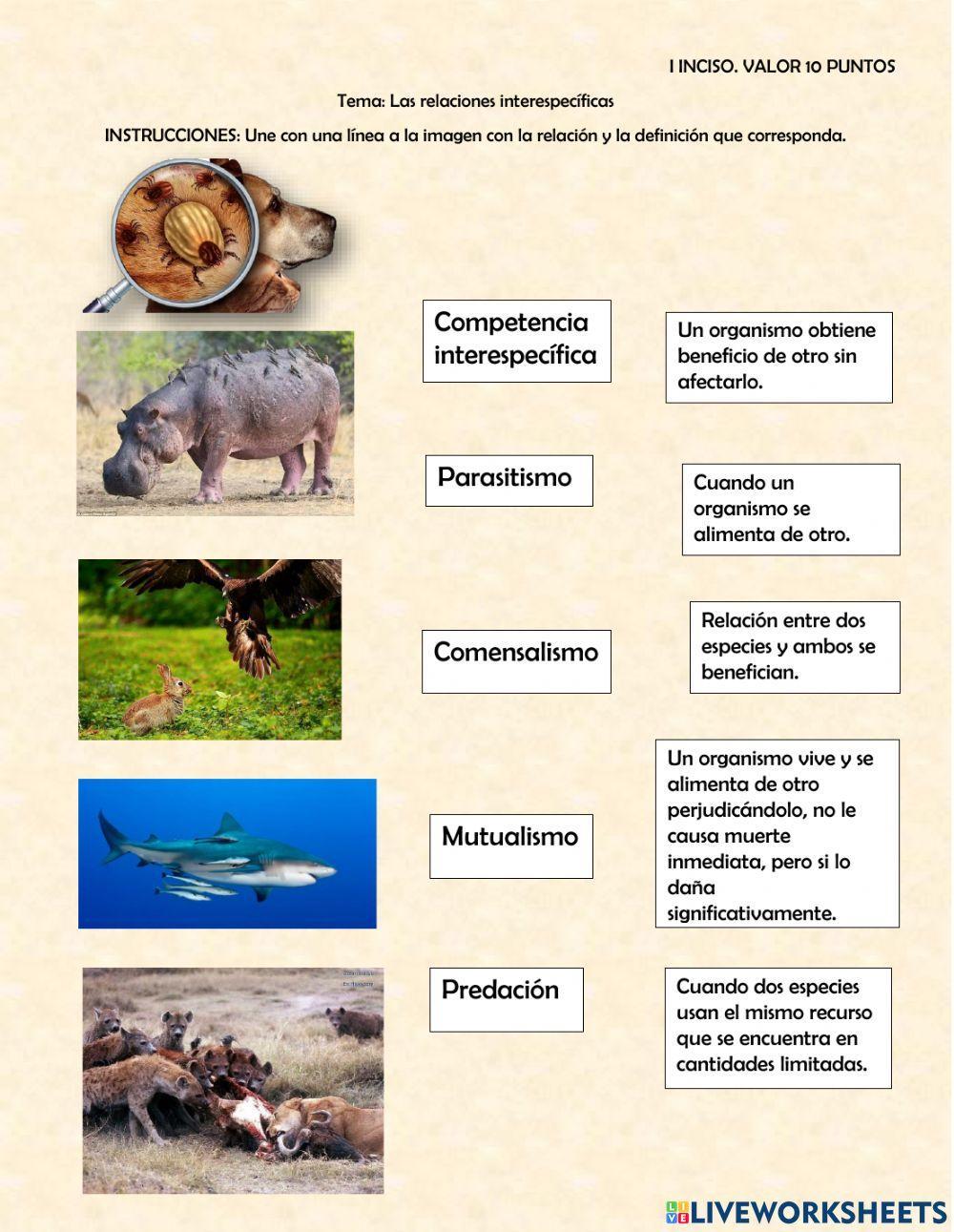 Las Relaciones Interespecíficas