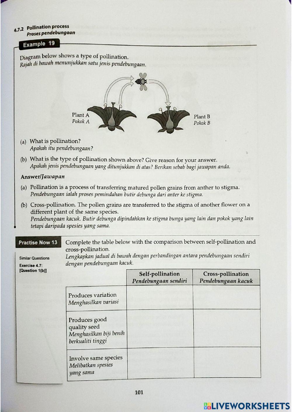 Sains Tingkatan 1 Bab 4 4.7 Plant Reproduction