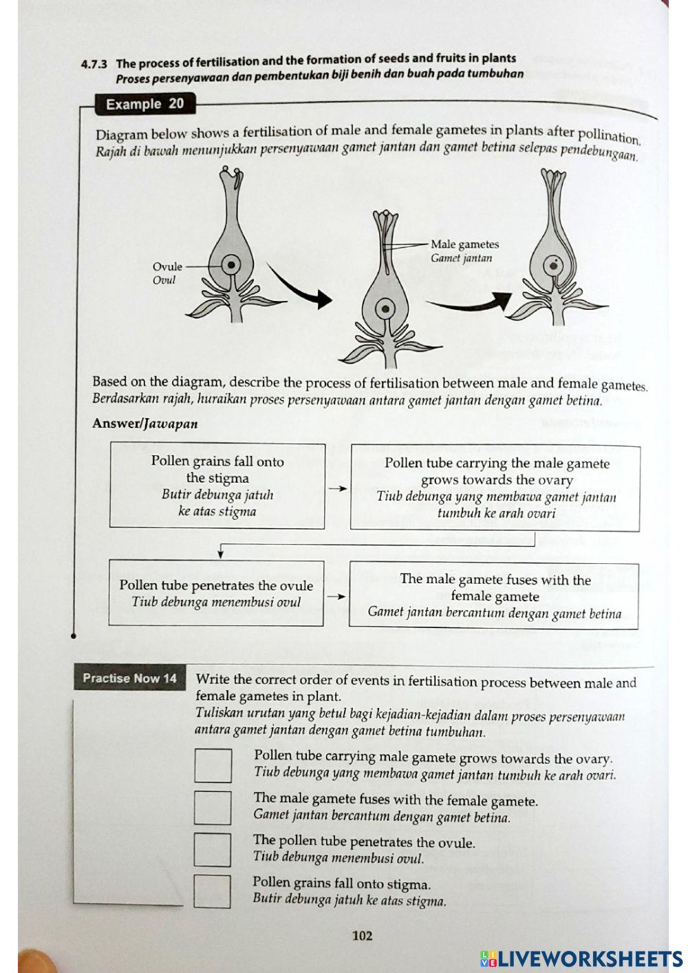 Sains Tingkatan 1 Bab 4 4.7 Plant Reproduction