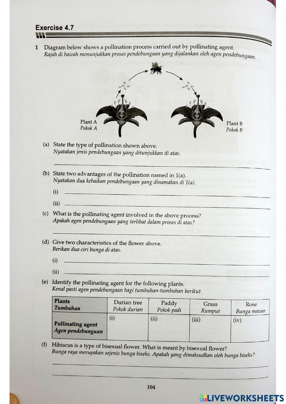 Sains Tingkatan 1 Bab 4 4.7 Plant Reproduction