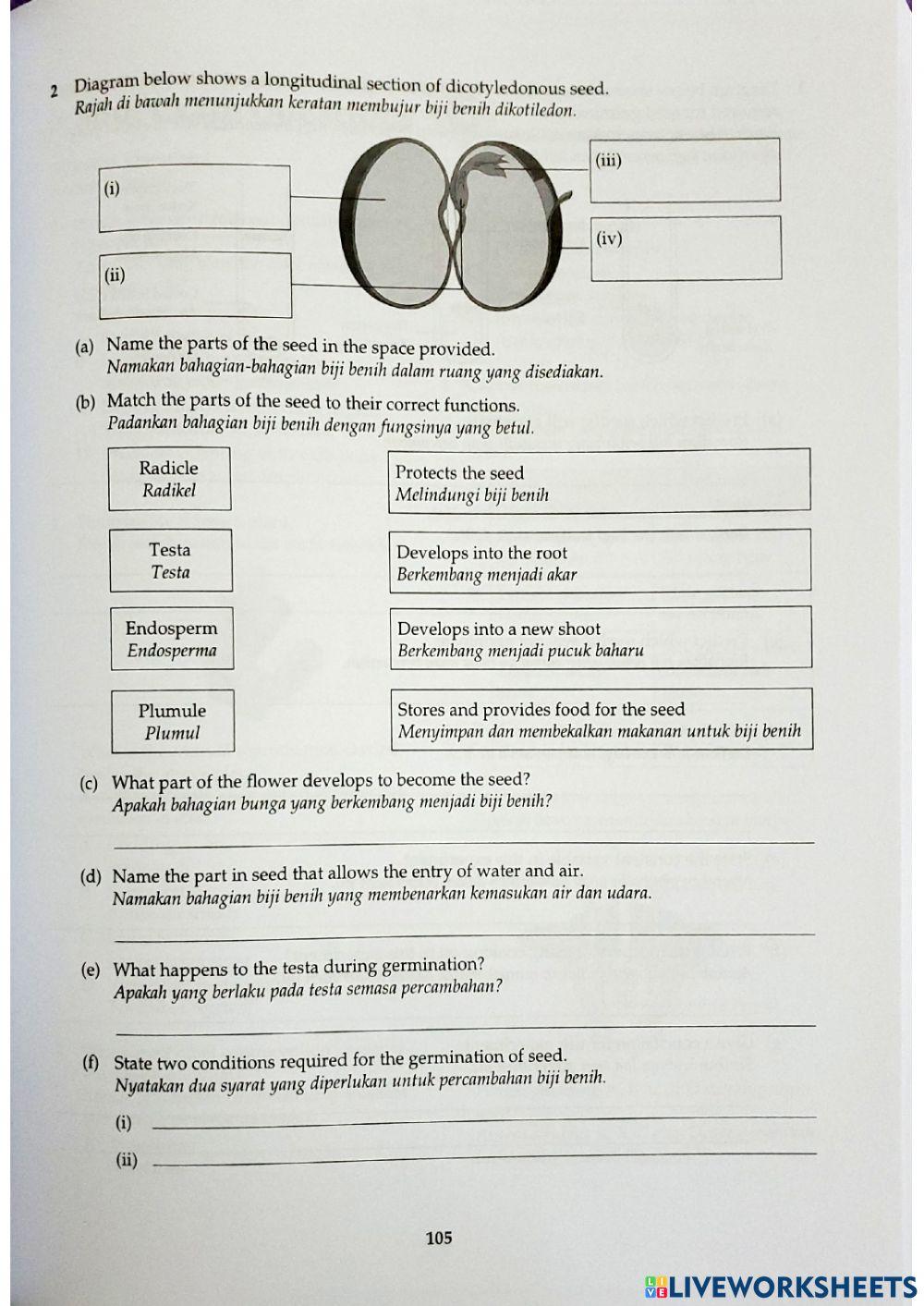Sains Tingkatan 1 Bab 4 4.7 Plant Reproduction