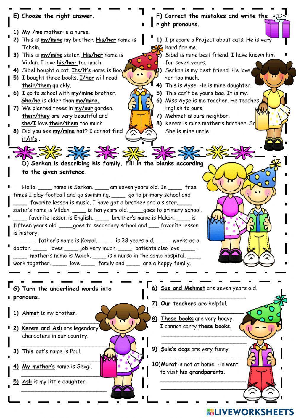 Pronouns and Possessions